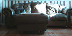 My couch family room couch