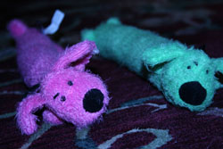 Here are Pink Dog and Green Dog Blue Dog and Pink Dog toys