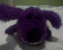 Here's Purple Dog Purple Dog